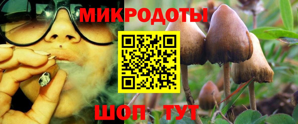Псилоцибиновые грибы мухоморы Батайск