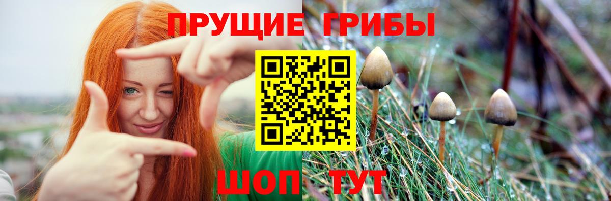 Псилоцибиновые грибы Magic Shrooms  Вход с VPN  Батайск  Галлюциногенные грибы GOLDEN TEACHER 